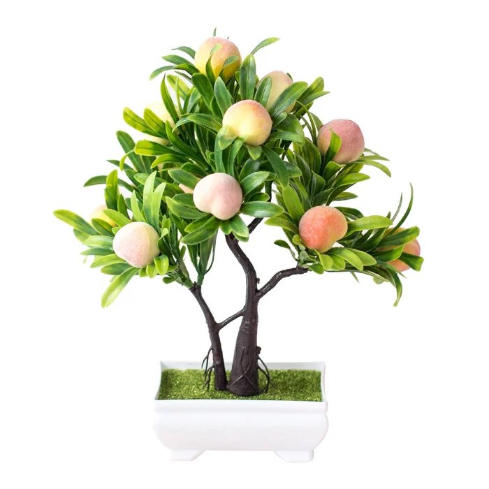 paulmann55's tweet photo. This is a Peach tree dish
ππππππππ @RepMTG https://t.co/KZhbt68LSk