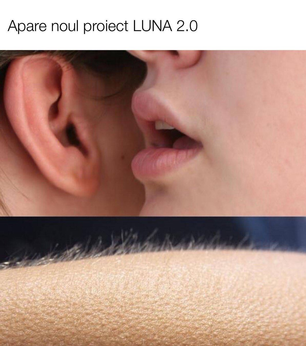 iBlockRo's tweet photo. Persoanele care investesc în Luna 2.0 sunt aceiași care se împacă cu fostele. https://t.co/1sdgKlzyeQ