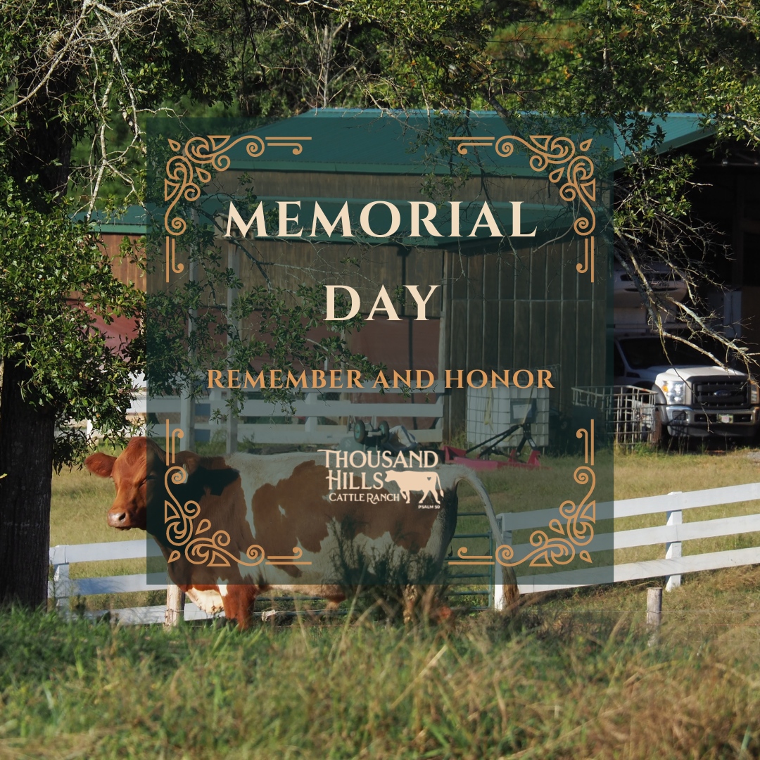 On this Monday, we remember and honor those who have served our country. Thank you to all our soldiers! #ThousandHillsCattleRanch #THCR #ThousandHillCattle #memorialday #rememberandhonor #farm #cattle #farmlife #farmerlife #cattlefarm #cattlefarming #ranchlife #ranch