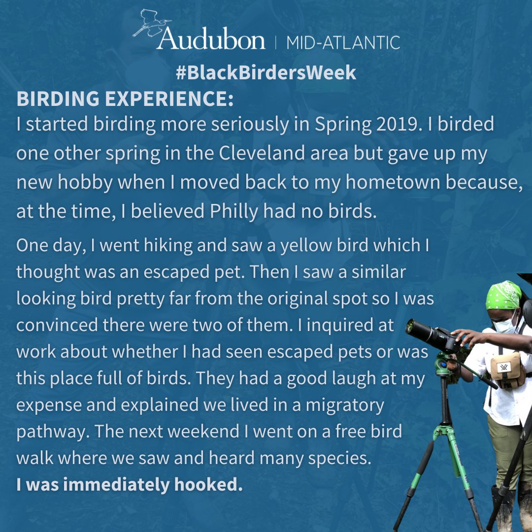 Say "hello" to Tanya Burnett! Tanya is originally from Philly and a birder since 2019. She has birded in 4 countries but her favorite places to bird are in just about any #Philly park.

Follow Tanya on IG to learn more: @burnettbirds 

#Blackbirdersweek  <a href="/BlackAFinSTEM/">BlackAFinSTEM</a>