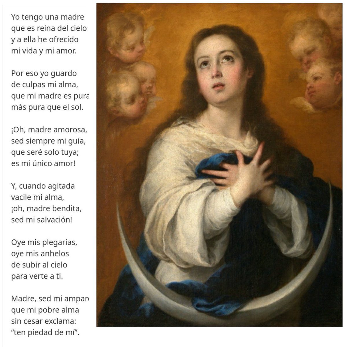 Los últimos días de mayo, alabando a Nuestra Señora:

💙Madre 
🌸Abogada
👑Reina
🤍Inmaculada 
🙏🏻Auxilio

VENID Y VAMOS TODOS CON FLORES A MARÍA 💐💐

#MayoMesDeMaría
#VivaMaría
#ConFloresAMaría
#MesDeMaría
#MaríaInmaculada

💐💐VENID, VENID, QUE MADRE NUESTRA ES.