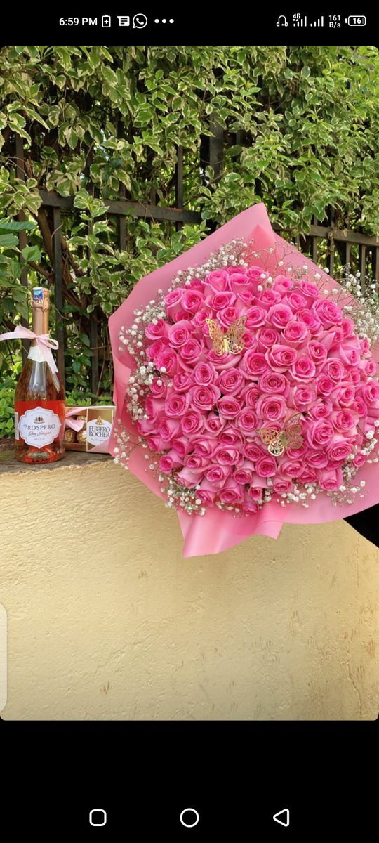 CupidSpecialKE's tweet photo. @K24Tv 100 stems roses on offer today.
Perfect gift for an early birthday surprise.

Price= ksh. 4000

Call/WhatsApp 0728542085
Direct WhatsApp link👉https://t.co/D9MBasezcR👈
We deliver countrywide https://t.co/iOpKL1XJAA