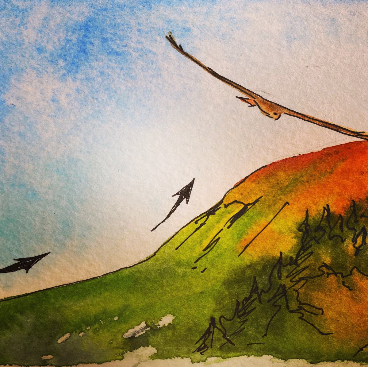 SeabirdMcKeon's tweet photo. #ridgesoaring #rise #watercolor https://t.co/RVTVLtnmv5