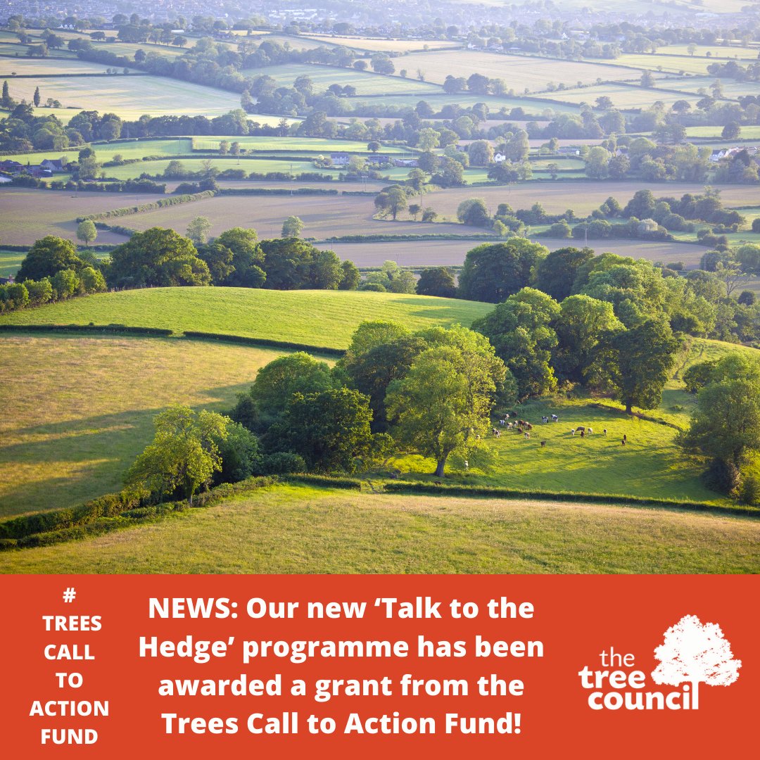 TheTreeCouncil's tweet photo. 💚🎊🎉 We have been awarded a grant from the #TreesCallToActionFund! We can now begin our #TalkToTheHedge programme & continue bringing everyone together to plant, protect & promote UK #hedgerows @NHLS1 @AnotherWay_tw @PTES
@DefraUK @ForestryComm @HeritageFundUK https://t.co/cyWkHhELQa