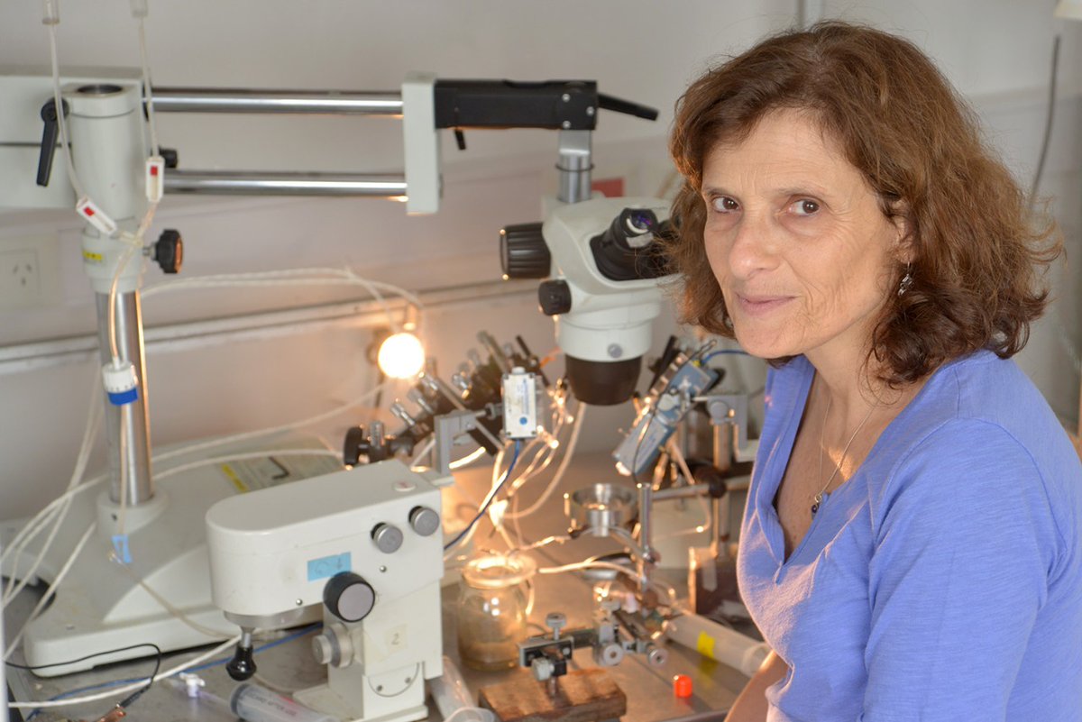 🙌 La Dra. Lidia Szczupak, Profesora del Departamento de Fisiología y Biología Molecular y Celular e Investigadora del CONICET en el IFIByNE-UBA-CONICET, fue designada miembro de la Academia de Ciencias de América Latina. ¡Felicitaciones!
