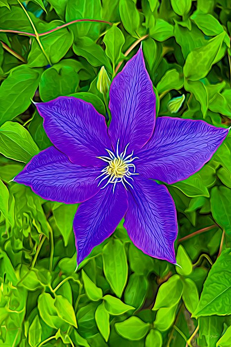 GRIDERIMAGES tweet media