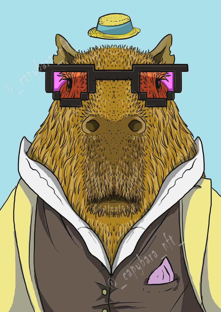 Capybaras Collectables tweet media