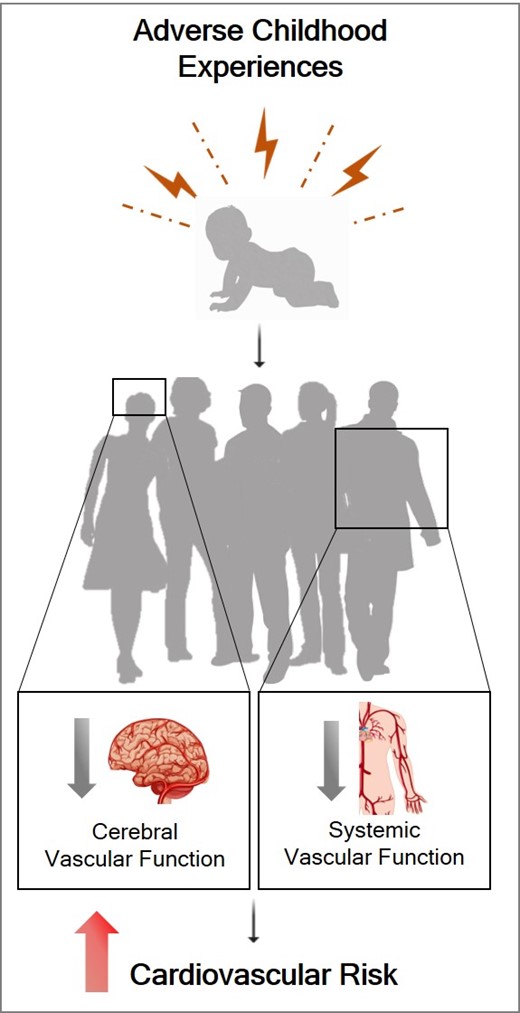 Check out our latest publication related to #AdverseChildhoodExperiences and #CardiovascularHealth, evaluating the role of the cerebral and systemic vasculature.  

academic-oup-com.proxy.library.vcu.edu/function/advan…