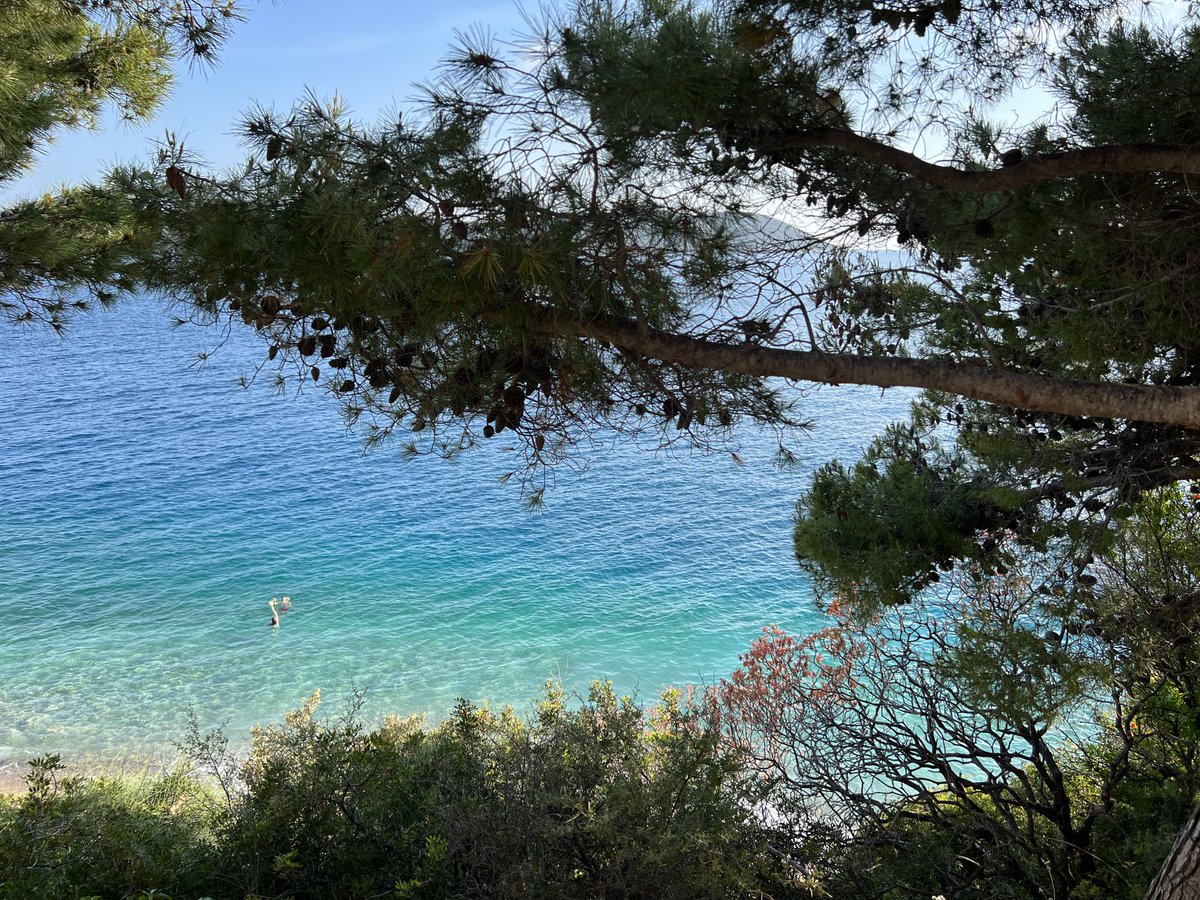 ReakesSarah's tweet image. Surreal location for the 2022 ⁦@PROIWorldwide⁩ global conference - no complaints!