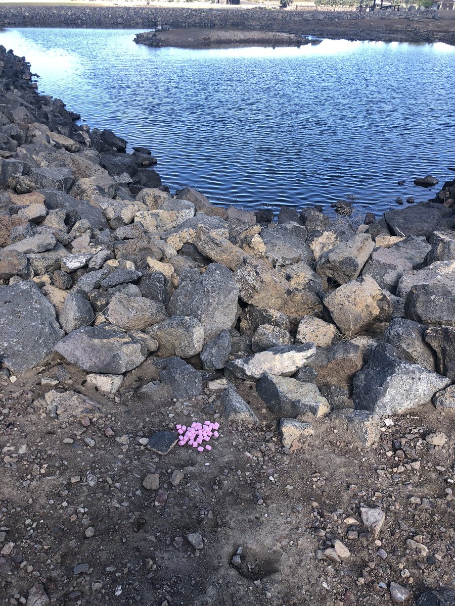 RobGalyen's tweet image. Tis’ the Season, come get ya some, Mr. Rockchuck!  

#VerminControl #DubbleBubble #WorstGumAllTime