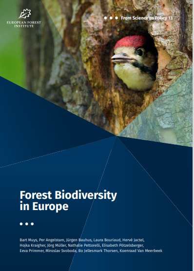 EevaPrimmer's tweet photo. Forest biodiversity is more than just a mixture of species. How to effectively maintain and enhance #forest #biodiversity in #Europe? We need all sectors and actors. #Protection and hands-on nature-positive #management. https://t.co/tJhtPSyl7w @europeanforest @BartMuys @KU_Leuven https://t.co/UjYzE4VaQ4