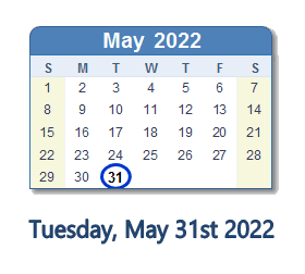 World Class Speedrunner Weegee is nervous for tomorrow!