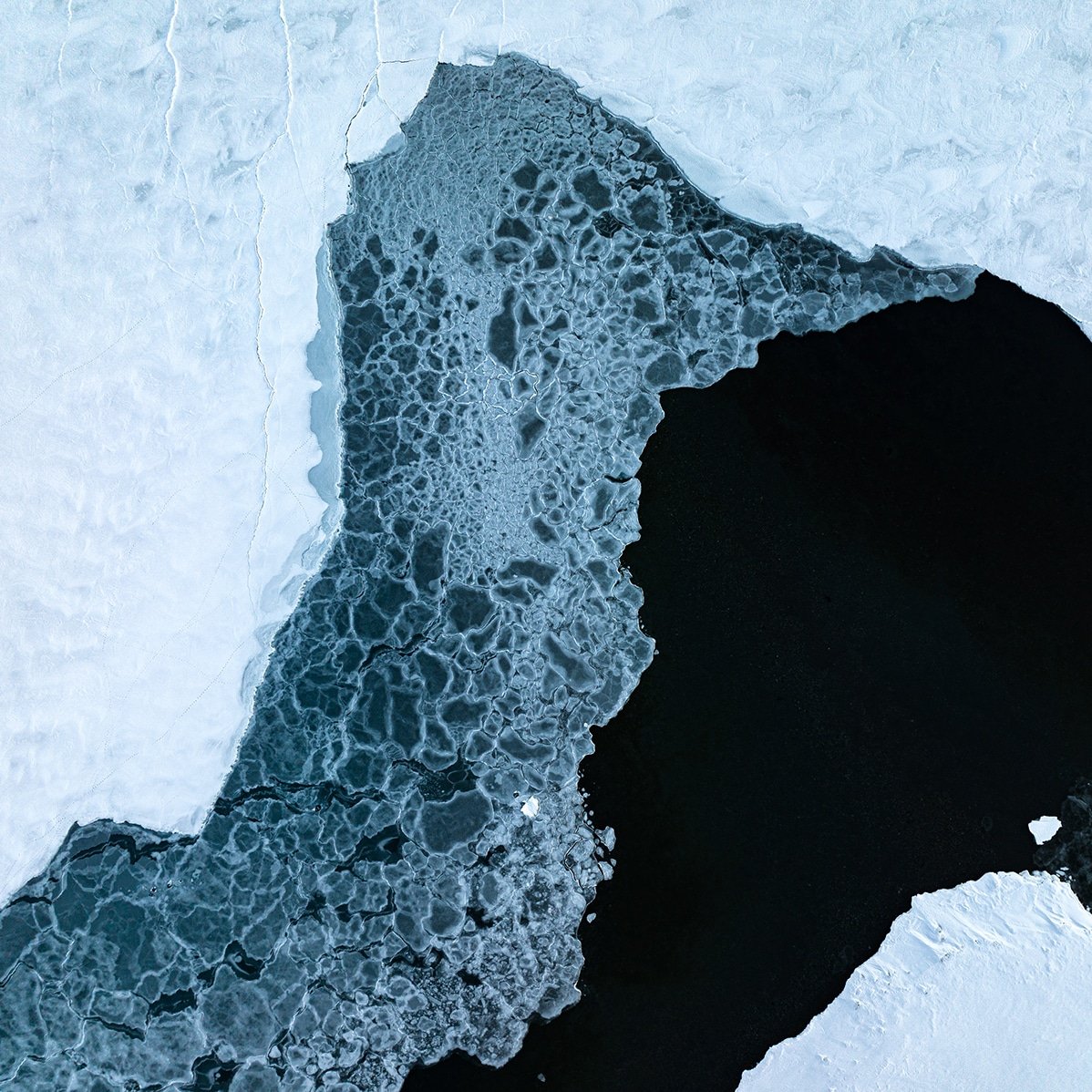 The Arctic environment is graphic and stark, but not devoid of life. When you get closer, you can see seal breathing holes in the thinnest layer of ice 🤩

📸 Frank GAZZOLA / UNDER THE POLE / Zeppelin Network

#Svalbard #Arctic #ecosystem #costalhabitat #sciences #diving #ocean