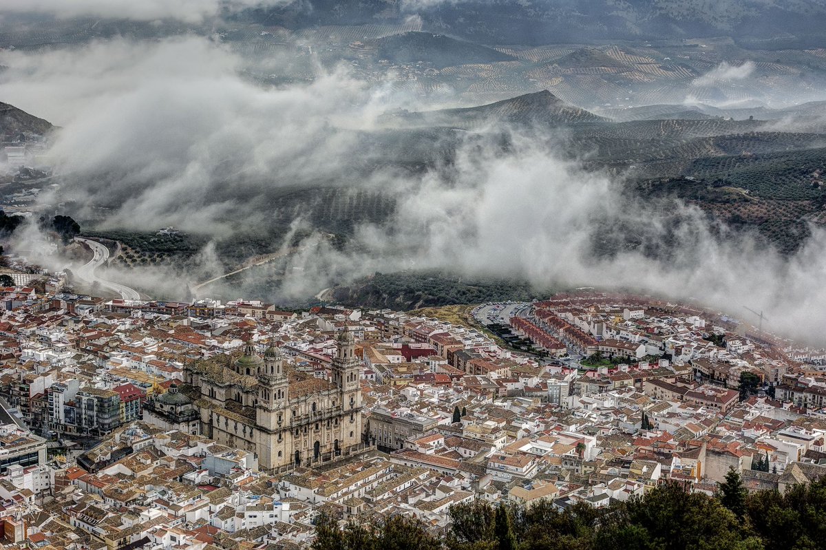 Eduardo S tweet media