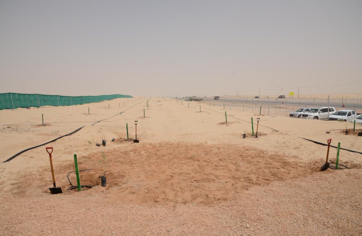 tmrrah9's tweet photo. #السعودية_الخضراء💢|| البدء بتجربة تشجير الطرق السريعة🌲في السعودية عبر مشروع تشجير طريق الرياض-الدمام السريع ٬ حيث تم الإنتهاء من مرحلتين تجريبية بطول 4 كيلومتر

📌: في الصورة الأولى تجربة ناجحة للصين🇨🇳في تشجير طريق بكين-شينجيانغ
📌: الصورة الثانية بدء التجارب في السعودية🇸🇦 https://t.co/MkxV4NFBSw