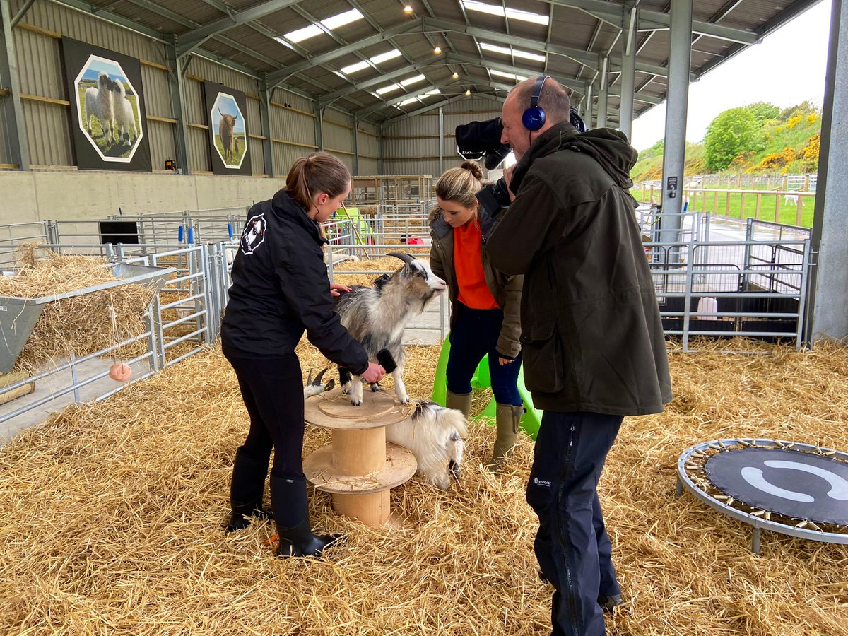annemcalp's tweet image. Thanks for having me… @FarmStopABZ 🎥 🐖 🐐 🐑 #BBCLandward