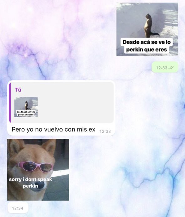 dangerxusmami's tweet photo. el nivel de palabreo de mi hermana????? https://t.co/iU4jtqNSSb