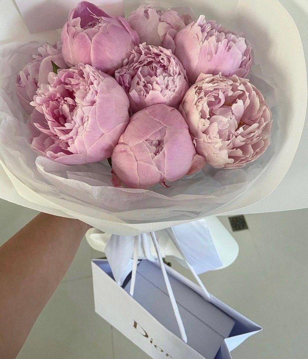 bottegalolita's tweet photo. Peonies https://t.co/8Go3opFCWc