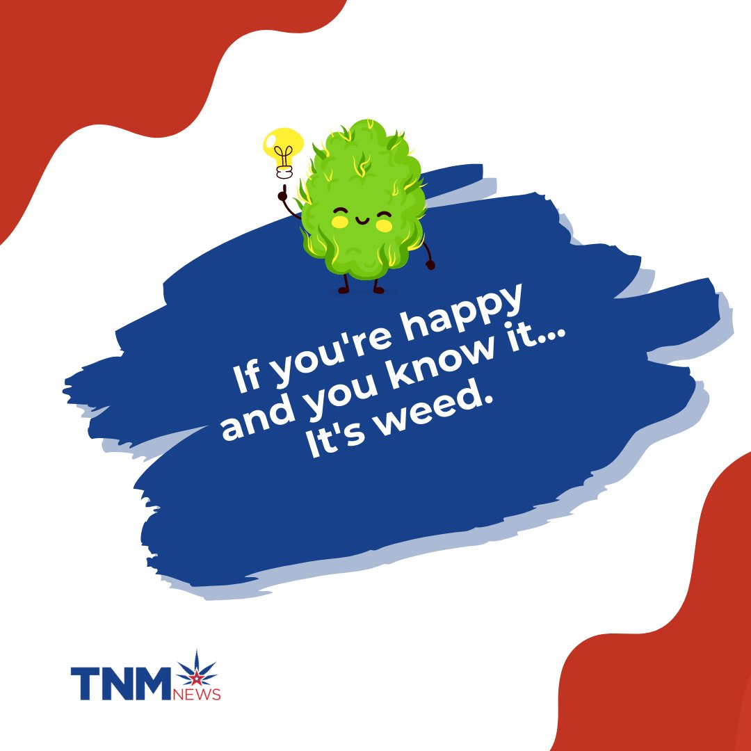 NationalMJNews's tweet image. If you're happy, and you know it, clap your hands. 👏

#weefun #weedmemes #stonerlife #hightimes #cannabissociety
