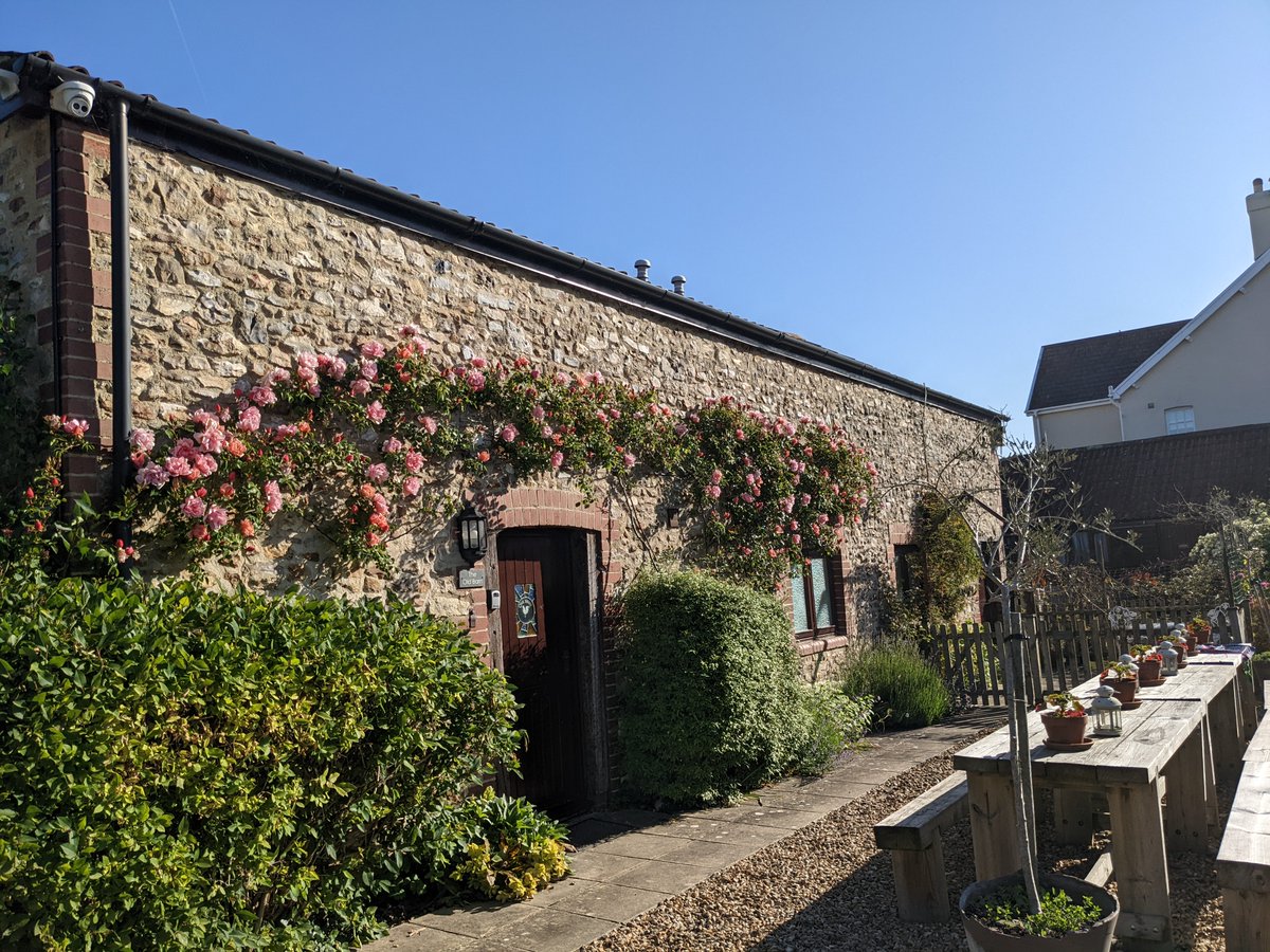 tritchayne's tweet photo. We are now offering 10% off for all of June and July at Tritchayne Farm Cottages. Our gardens have just exploded with colour so why not wait for the chaos of the Jubilee weekend to pass and come and see. Prices and availability on our website or message us.
#summerbargain #deal https://t.co/r99UThYjRE