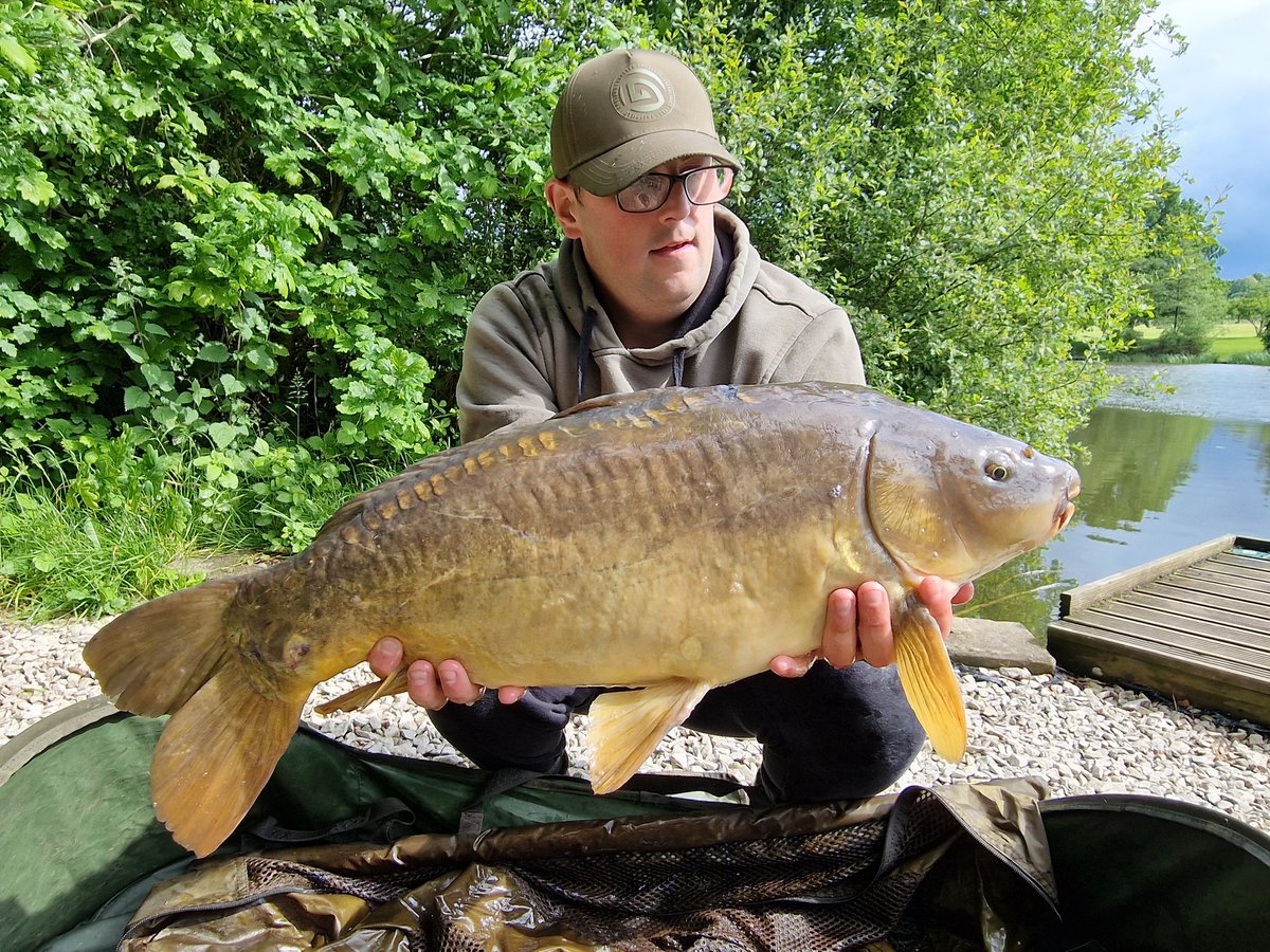 An absolute belter in the afternoon sunshine #carp #fishing #carpy #carpfishing