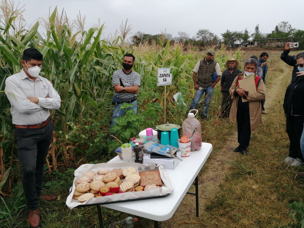 HubPSurCimmyt's tweet image. Los sistemas agroliametarios sustentables usan desarrollar soluciones integrales, producción, sustebilidad, acceso a mercado @ACCIMMYT @CIMMYTesp #CLCA #HubPSur