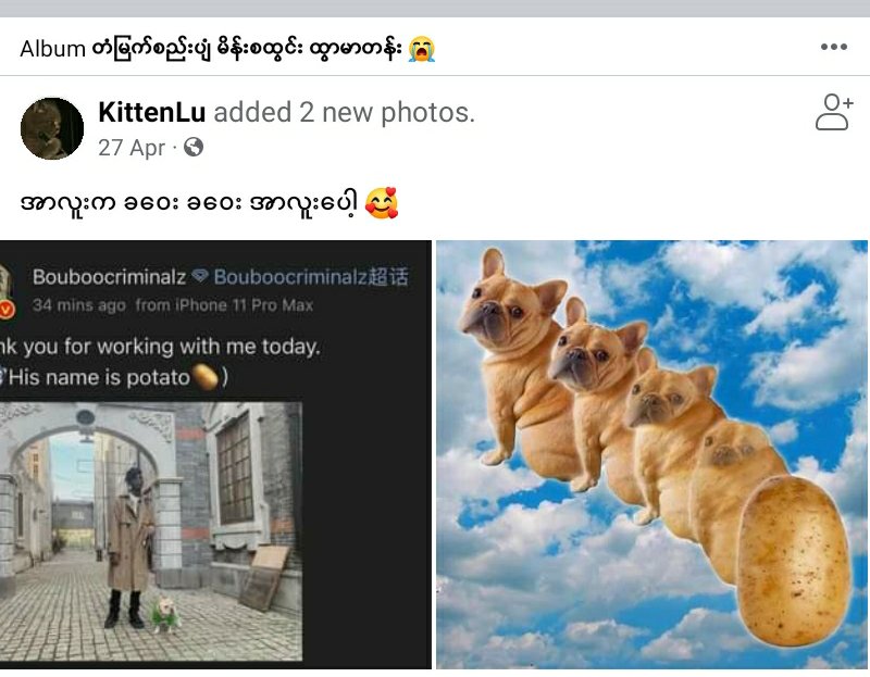 She #MTJJ from myanmar , always compare XZ with Dog and used the low class words like male prostitute and gay.That's also make heart sick for who valued him.The two acc is same user who start to carry the war to twitter. See the date yeah.Don't act your fandom is a victim!.Thread
