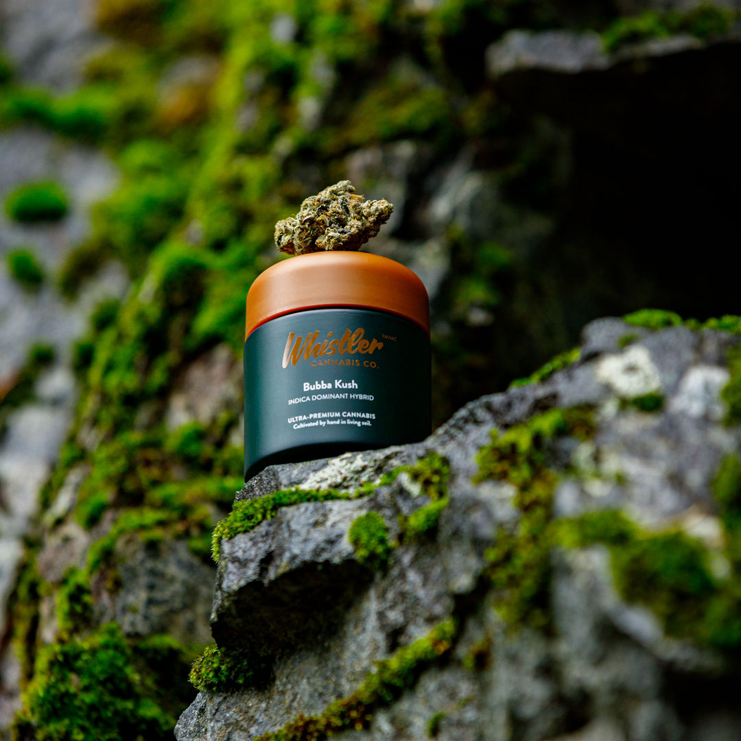 There are levels to this craft game. And Whistler’s Bubba Kush is at the top. Famous for its earthy, pine sweetness and picturesque bud colours. 22-28% THC. Perfect for wherever you roam.