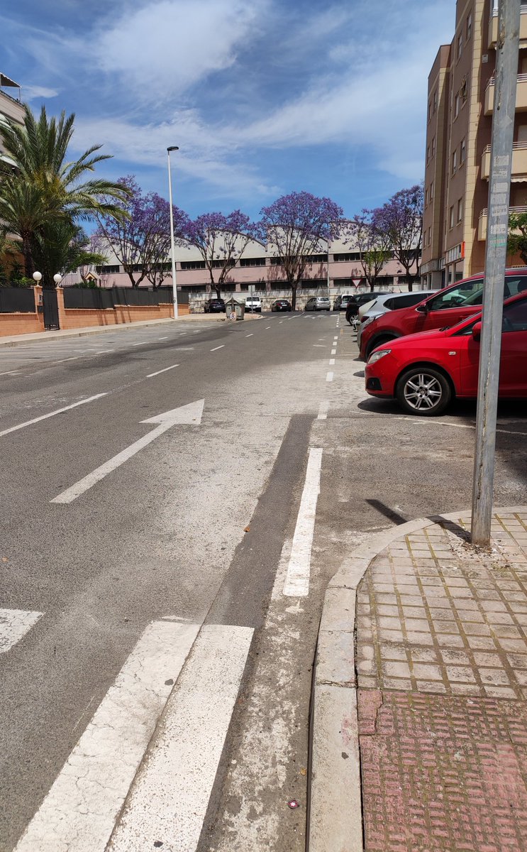 biojoaquingrau's tweet photo. Aquest és el carrer que porta el meu nom
No és tan gran com alguns tan coneguts a Elx com el Filet de Fora però per a mi és molt bonic
#elx #gentdelx https://t.co/w03U5KDUkc