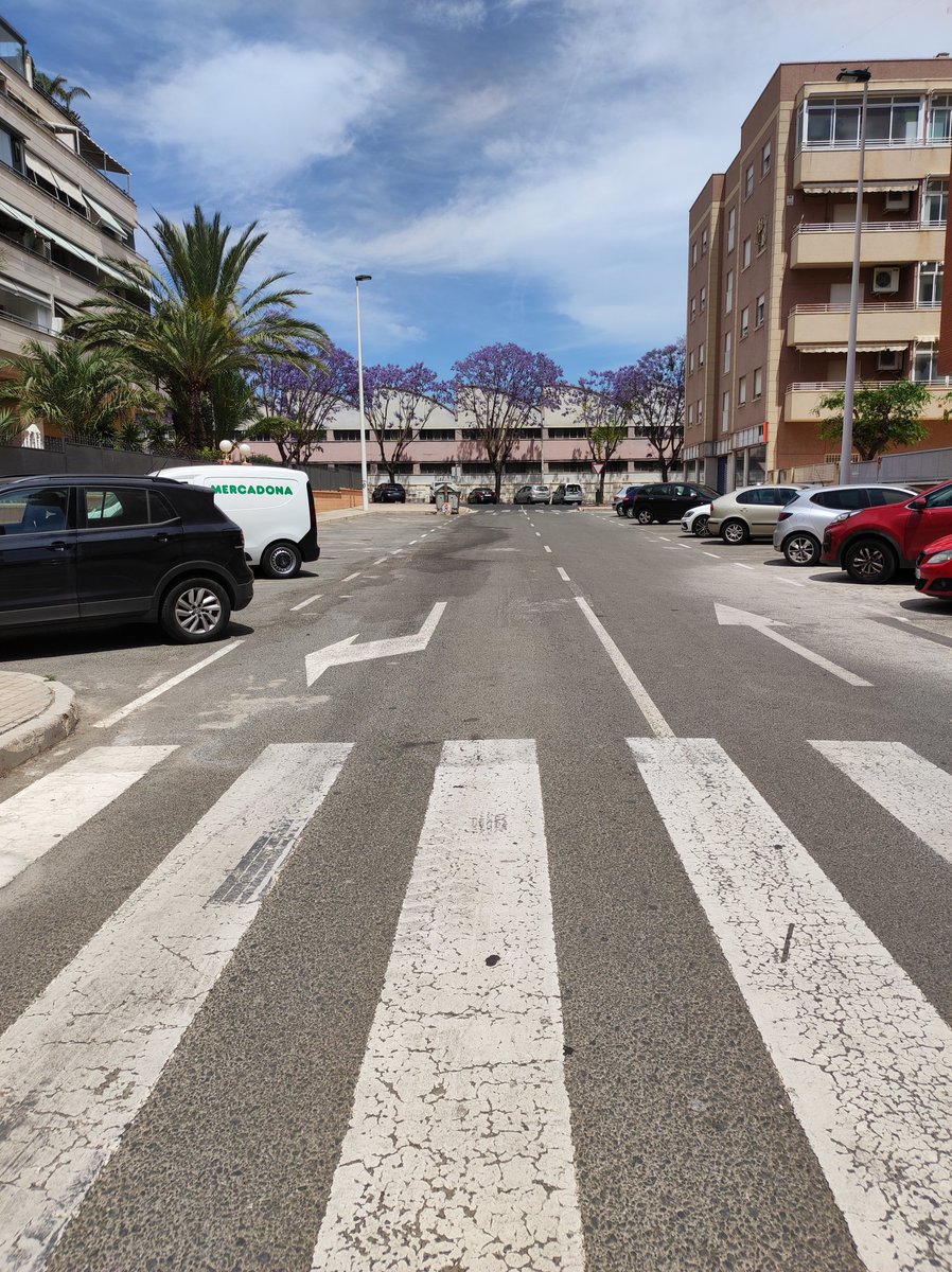 biojoaquingrau's tweet photo. Aquest és el carrer que porta el meu nom
No és tan gran com alguns tan coneguts a Elx com el Filet de Fora però per a mi és molt bonic
#elx #gentdelx https://t.co/w03U5KDUkc