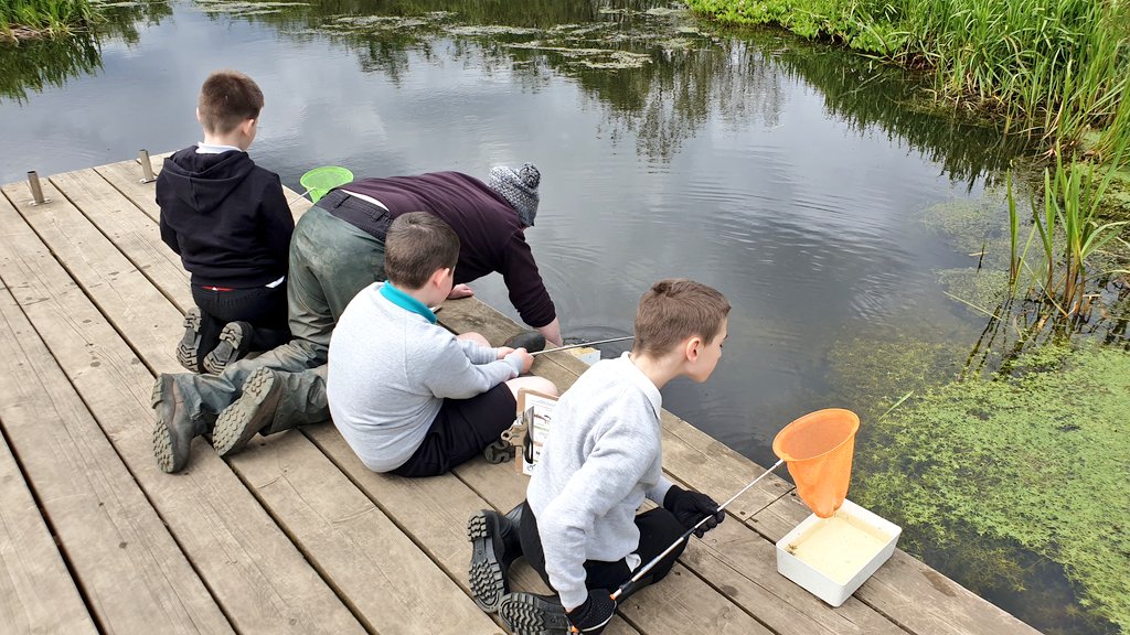 Phoenix Class - Connolly School Campus tweet media