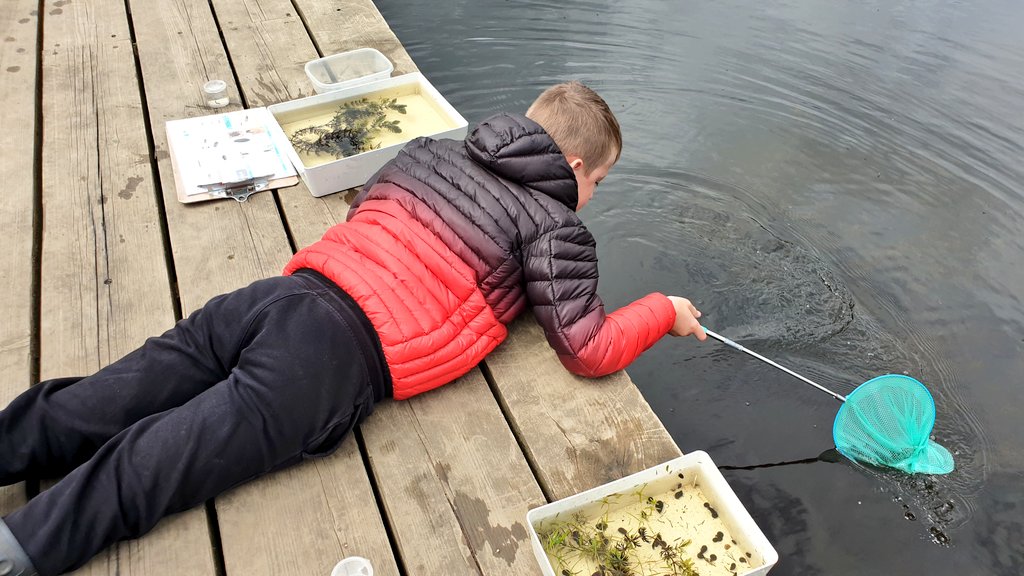 Phoenix Class - Connolly School Campus tweet media