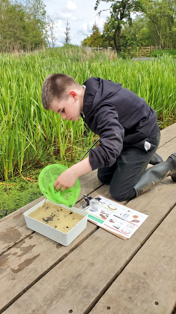 Phoenix Class - Connolly School Campus tweet media