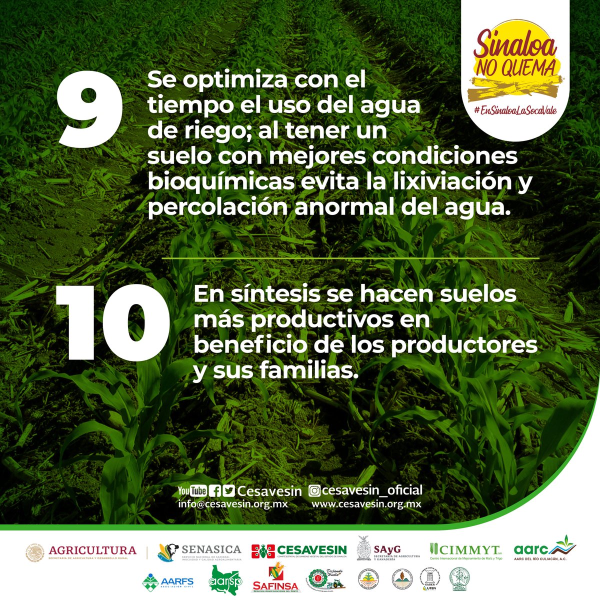 #EnSinaloaElRastrojoVale
#SinaloaNoQuema