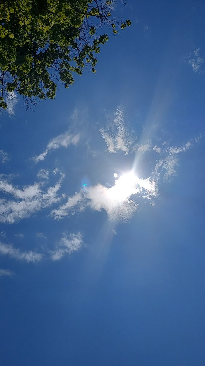 sunsprite90's tweet photo. sunshine is better than most medicine https://t.co/3H6ce72R8k