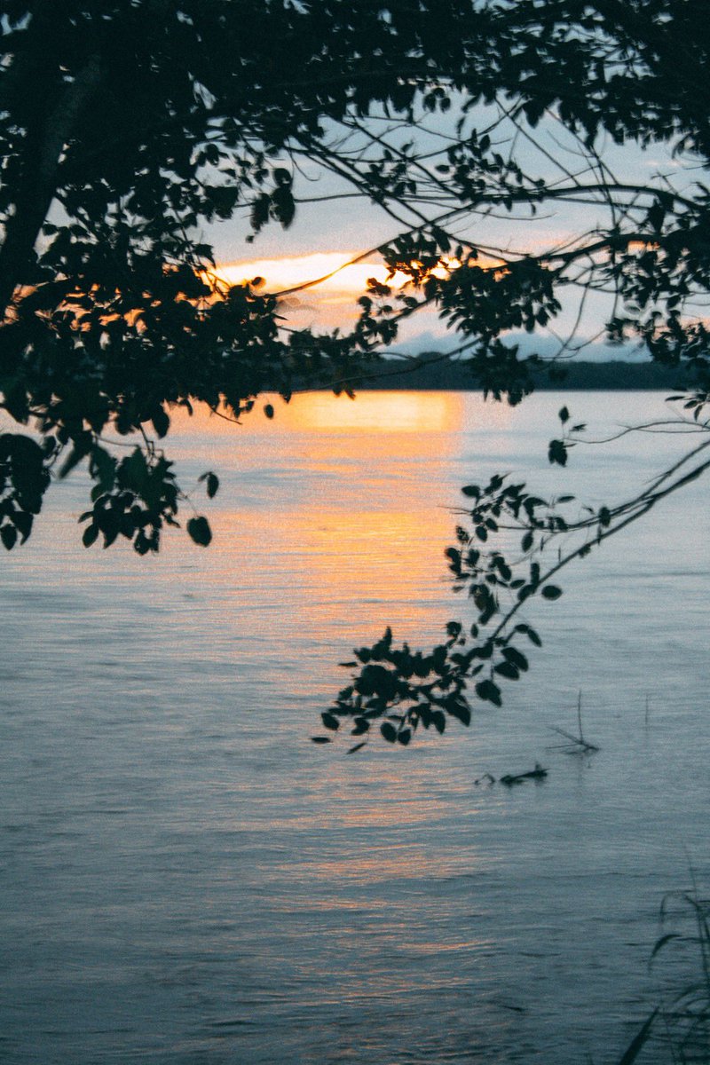 Escape_Beyond's tweet photo. A few photos from the Amazon https://t.co/uAmRJIUVOZ