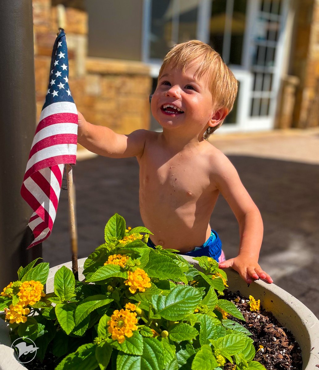 The Peninsula Club tweet media