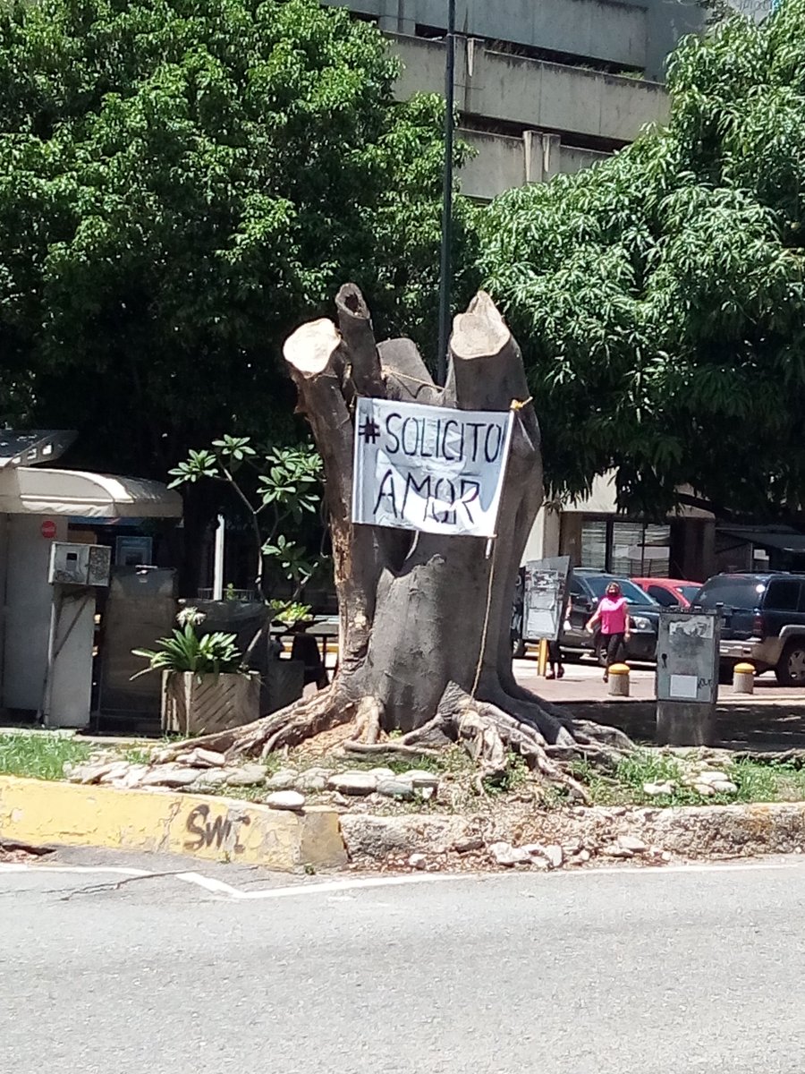 HectorAnibal9's tweet photo. Ayer, #DíaDelÁrbol un acto de desagravio en tu honor, en representación de muchos colegas. Hoy, ante tu imagen transgredida yace este pedimento, esencial y concreto. The Beatles tantas veces lo señalaron: All you need is love. #Baruta -Lo que no se hace-

@CiudLab @caracasapie https://t.co/OLyISemDmH