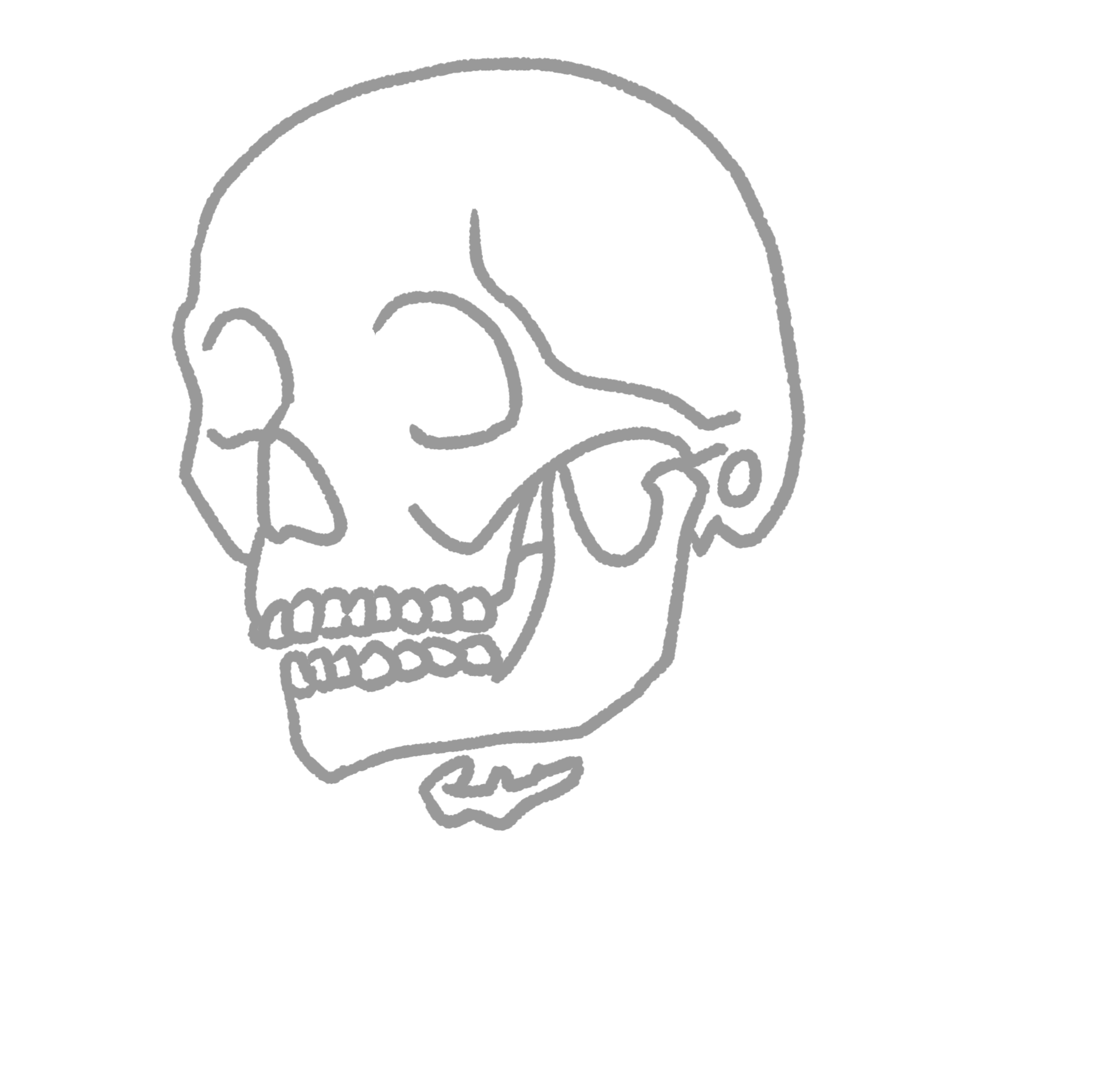 とおる 肩こり辛い歯医者 いらすとや風咀嚼筋群 途中なので開口筋がまだだとか 側頭筋が頬骨に隠れてなかったりとか陰がなかったりとかだけど そこら辺の修正はもう遅いので明日 顔貌と骨格のバランスの折衷案な感じ やはり下顎骨小せぇ では