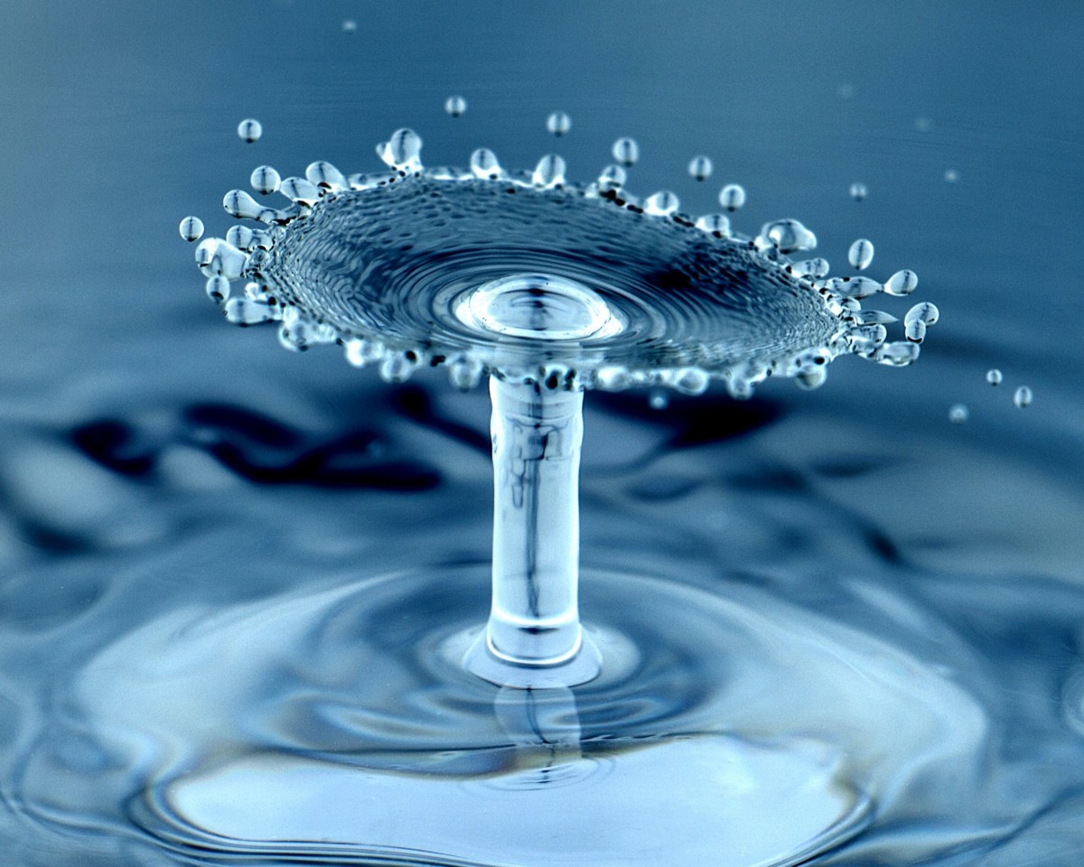 datapronetwork's tweet image. Every drop counts dlvr.it/SRKgk8 #openweathermap #irrigation #openweatherapi