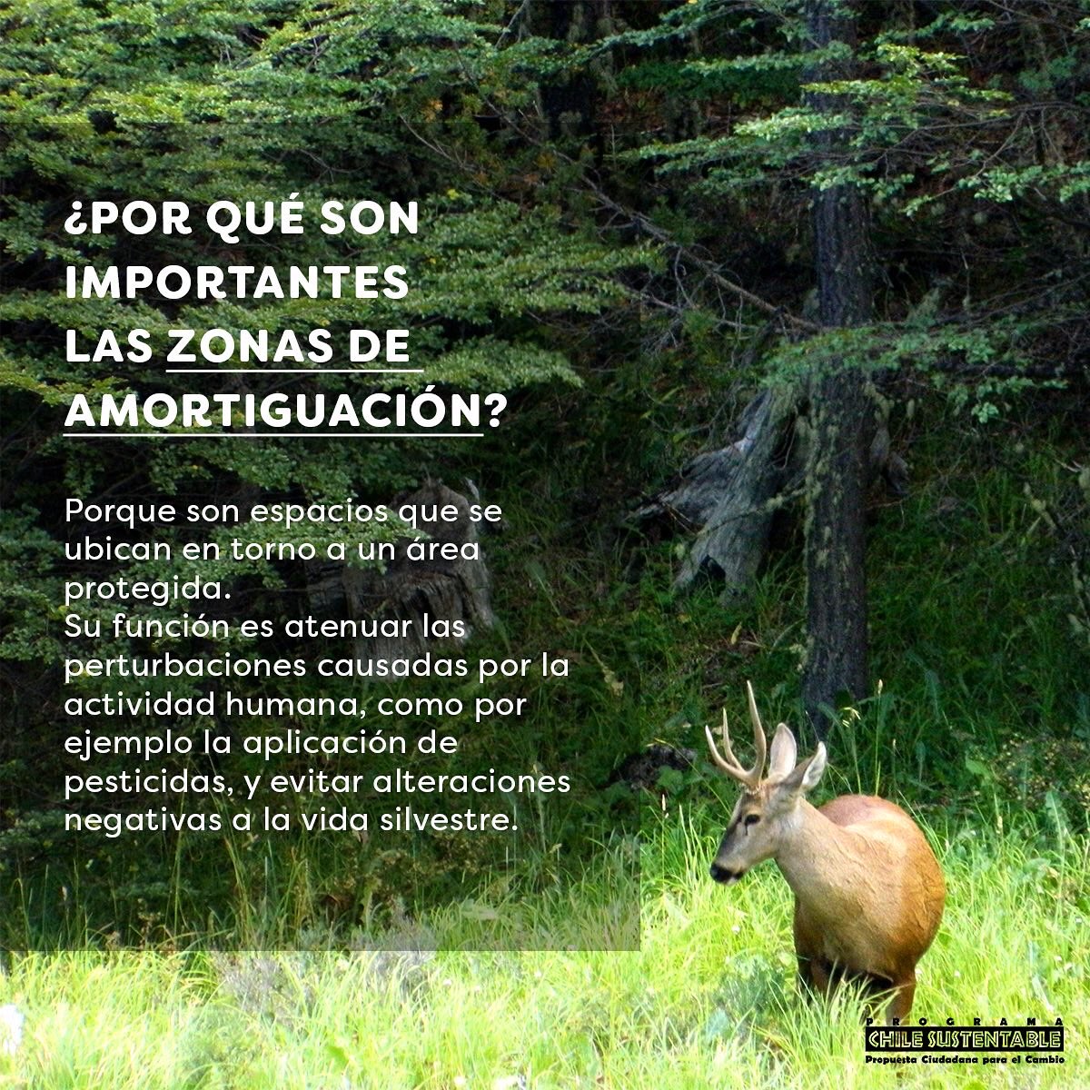 ONG_CHS's tweet photo. 📣Llamamos📣a los Diputados a mantener la protección de:
 
✅Zonas de Amortiguación
✅Paisajes de Conservación
✅Corredores Biológicos

#SBAP #YoQuieroSBAP #MMAChile #EcoConstituyent
#leyhumedalesurbanos #CambioClimatico #Agua #zonassacrificio https://t.co/Ja4TBNp7eM