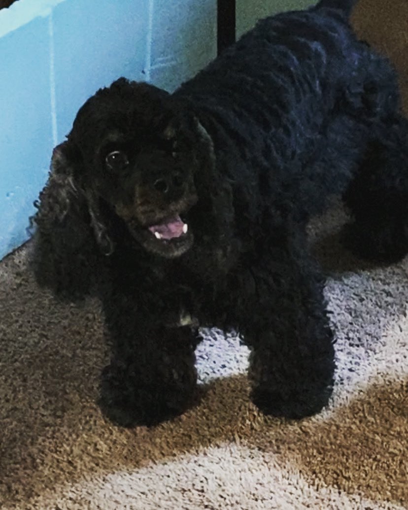 KimReiser's tweet image. That new toy feelin’😂