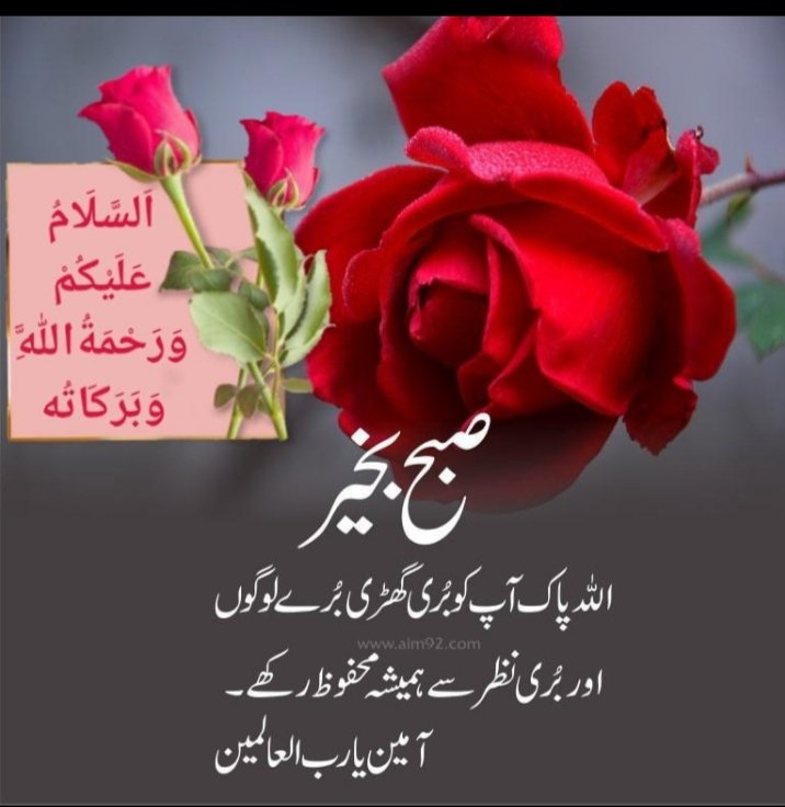 @SaimaSh169 @Sidra87214143 Asslam O Alaikum  
Communication is best friend