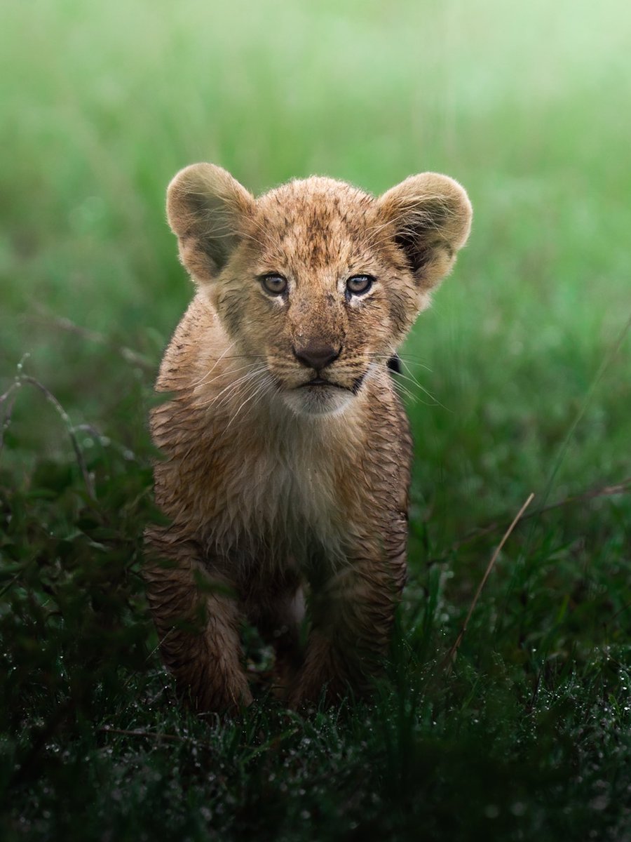 Who else loves green? 💚