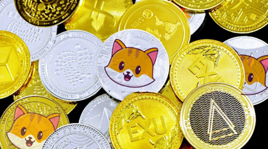 analyticsinme's tweet photo. Why Dogecoin Supporter Elon Musk will tweet about Catecoin?
https://t.co/8i3FHzNoRI
#Dogecoin #DogecoinElonMusk #ElonMusk #Catecoin #Crypto #Cryptocurrency #Cryptocurrencies #AI #AINews #AnalyticsInsight 
#AnalyticsInsightMagazine https://t.co/rO1Q19oQ2W
