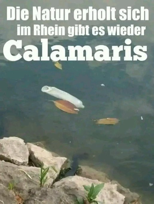 KlingenGerd's tweet photo. https://t.co/ocS2fr5luQ