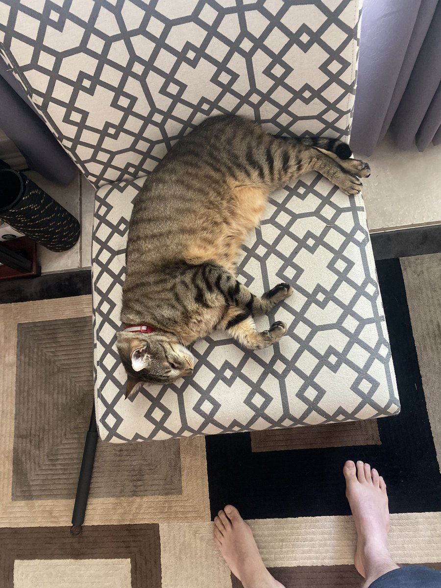 Steven Cochrun tweet media