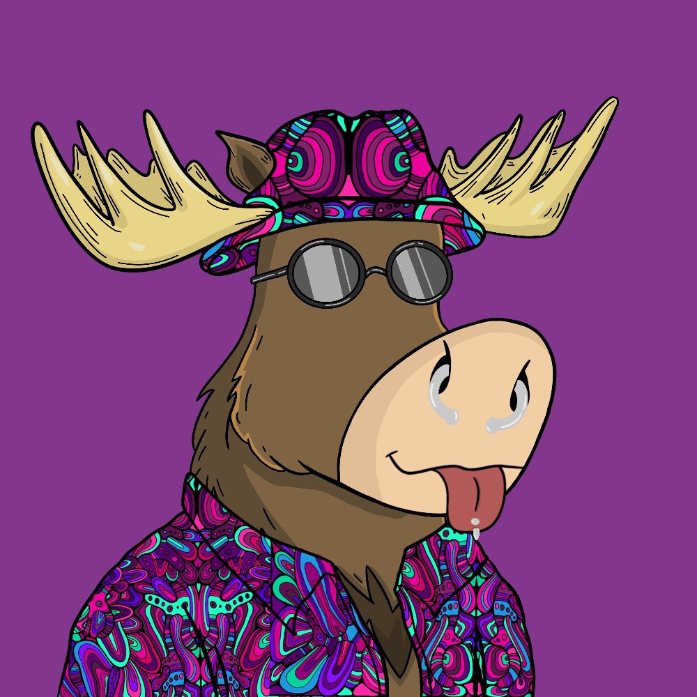 JAVILANCAS21's tweet photo. This project promises to take us to the moon! 
ID discord: Javilancas#2382
@honestmoosenft #KeepMoosing Lets go guys! https://t.co/9ZKQWgrIrQ