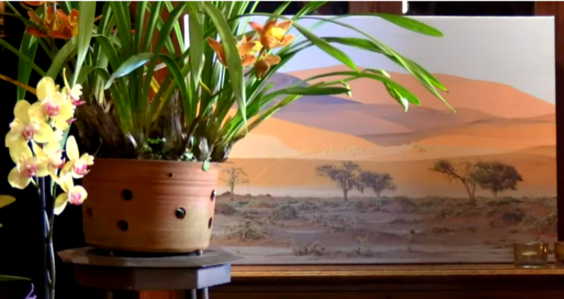 In June ~  Four Live-Streams, Two Concerts - mailchi.mp/musicrevival.c…