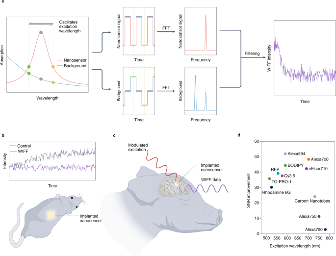 NatureNano's tweet photo. New content online: A deep tissue optical sensing https://t.co/cNgtBGufLt https://t.co/iP9dNEYbJt